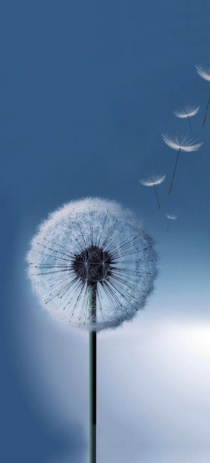 hinh-nen-samsung (31)