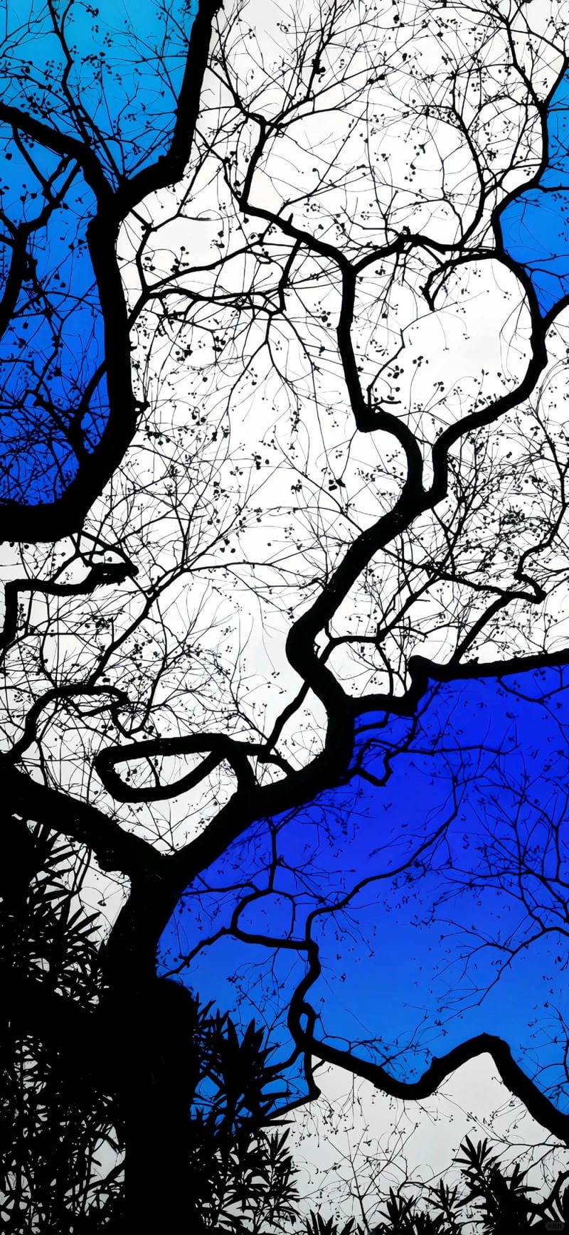 hinh-nen-samsung (4)