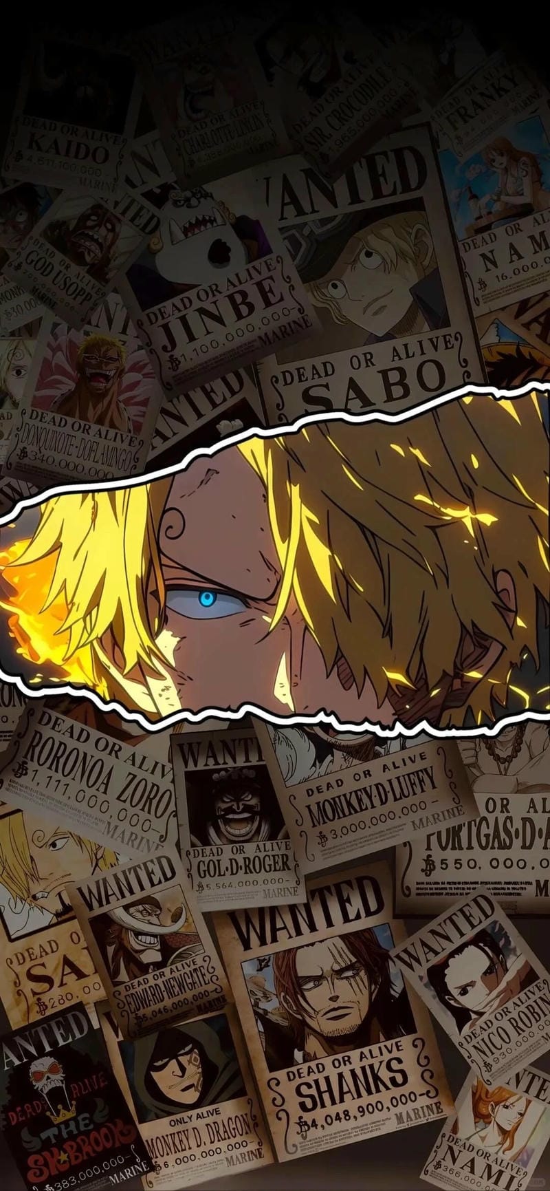 hinh-nen-sanji (15)