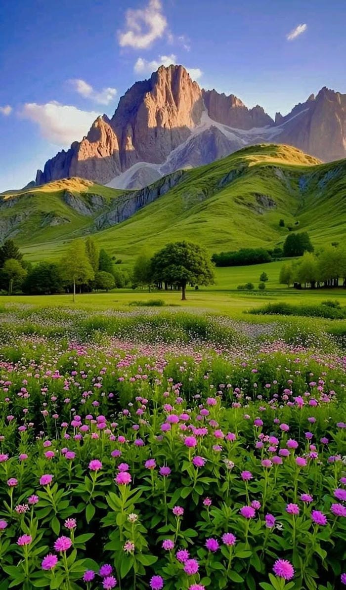 hinh-nen-thien-nhien (17)