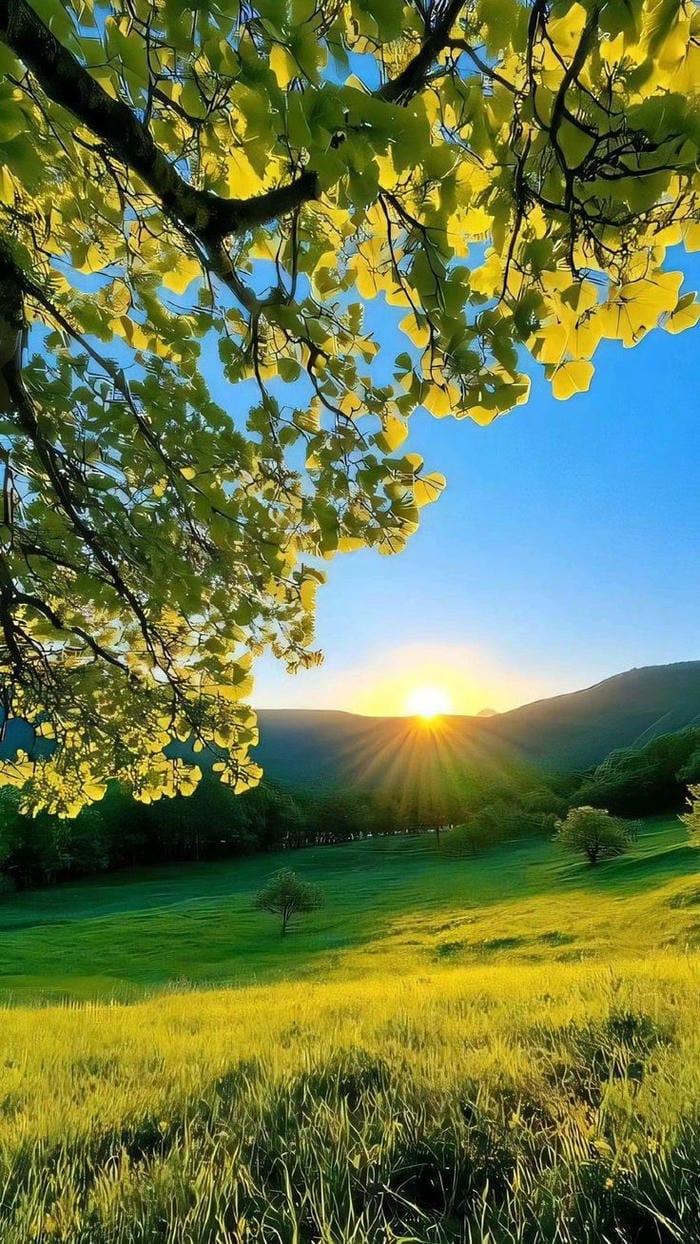 hinh-nen-thien-nhien (21)