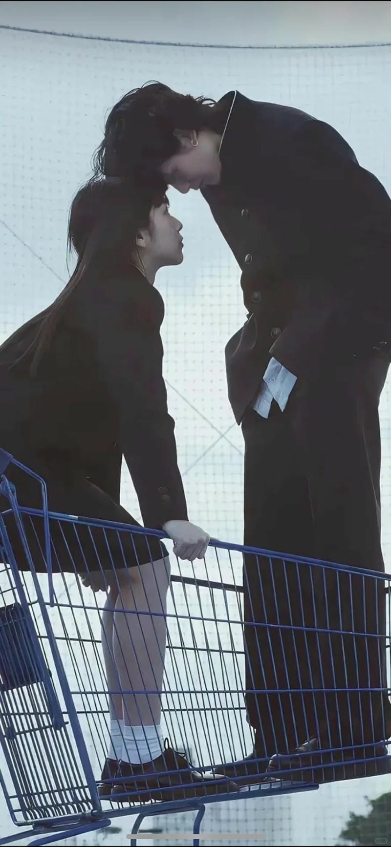 hinh-nen-tinh-yeu-doi-lua (27)