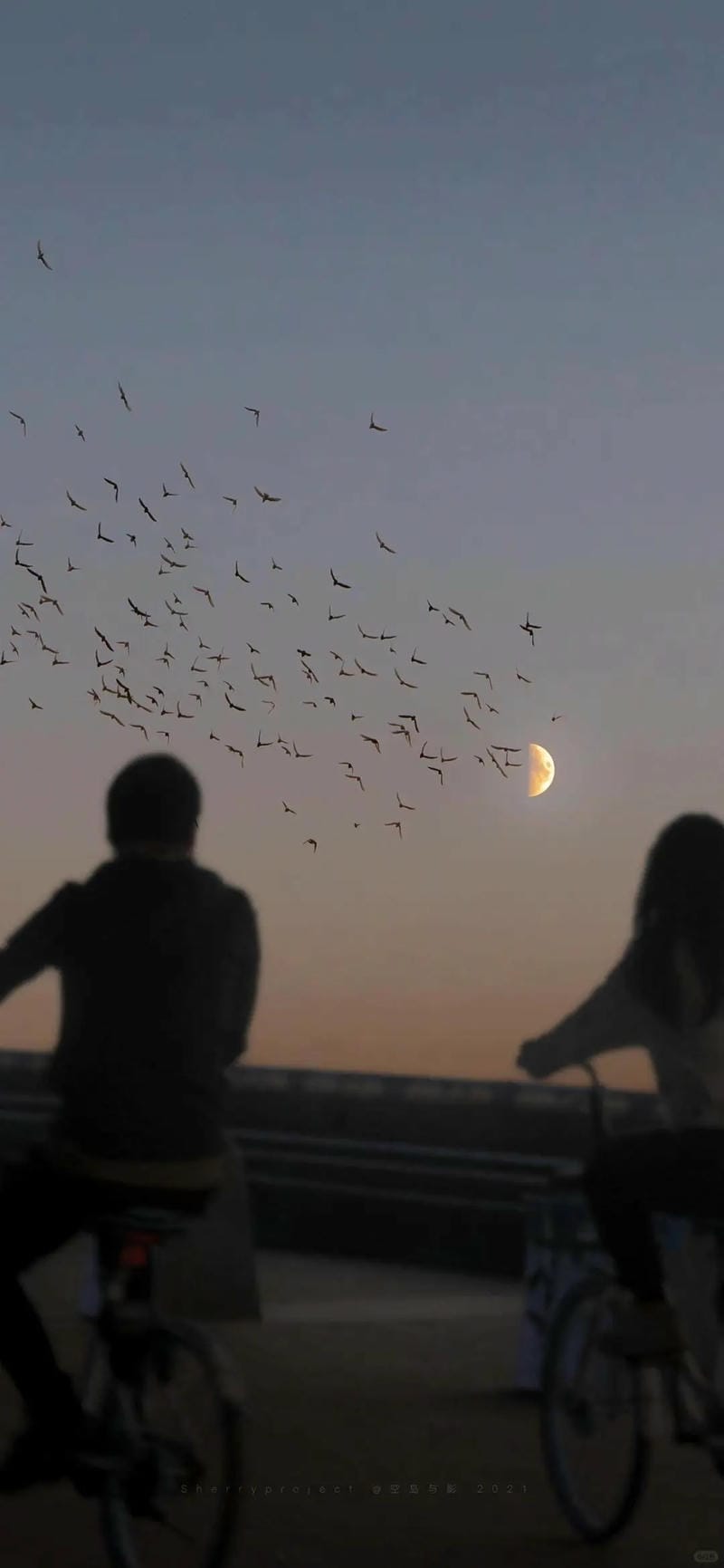 hinh-nen-tinh-yeu-doi-lua (8)