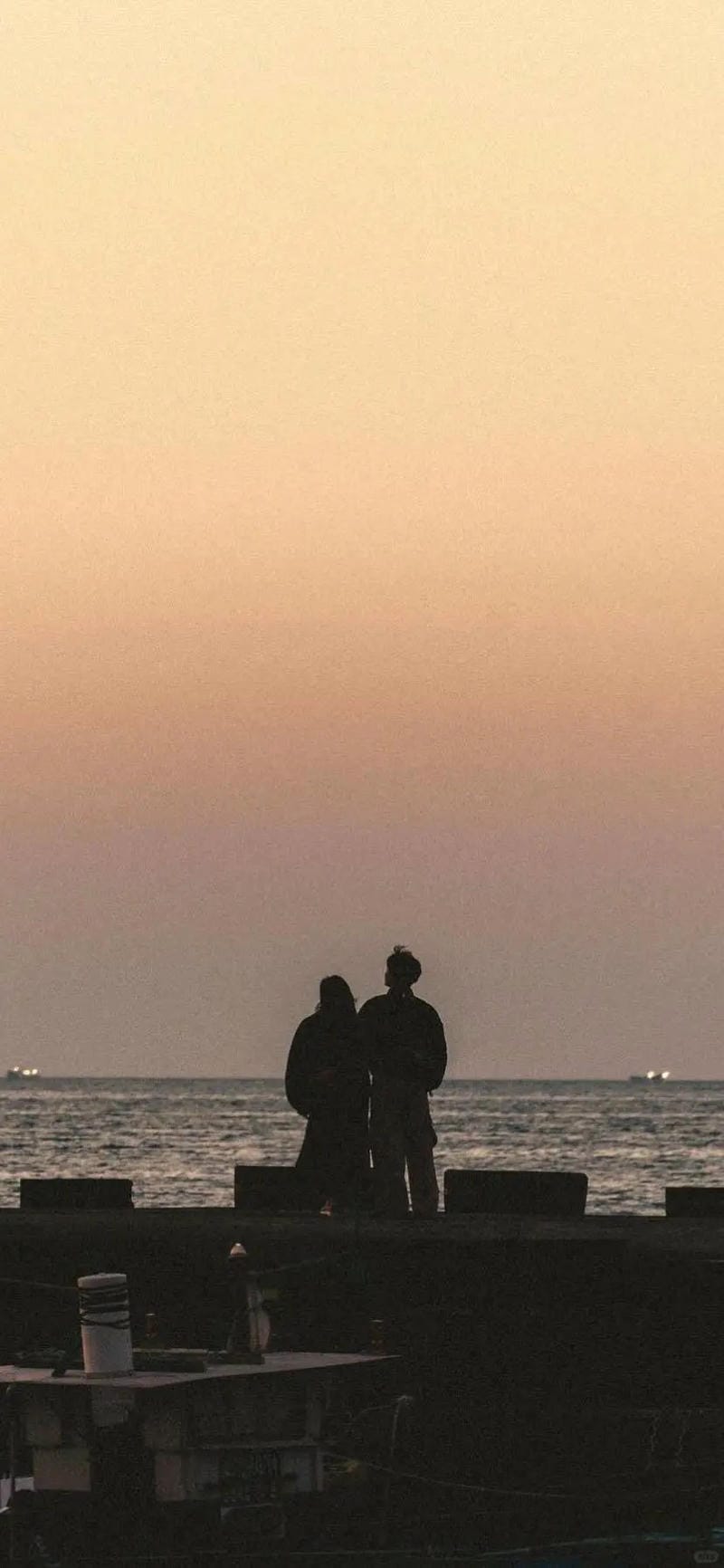 hinh-nen-tinh-yeu-doi-lua (9)