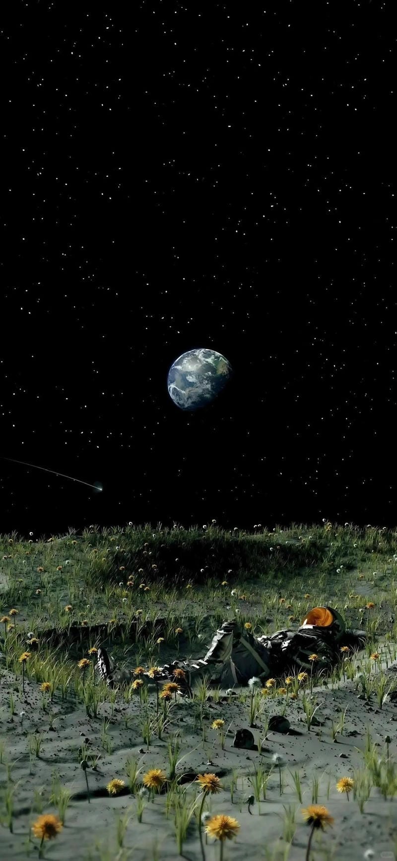 hinh-nen-trai-dat (21)