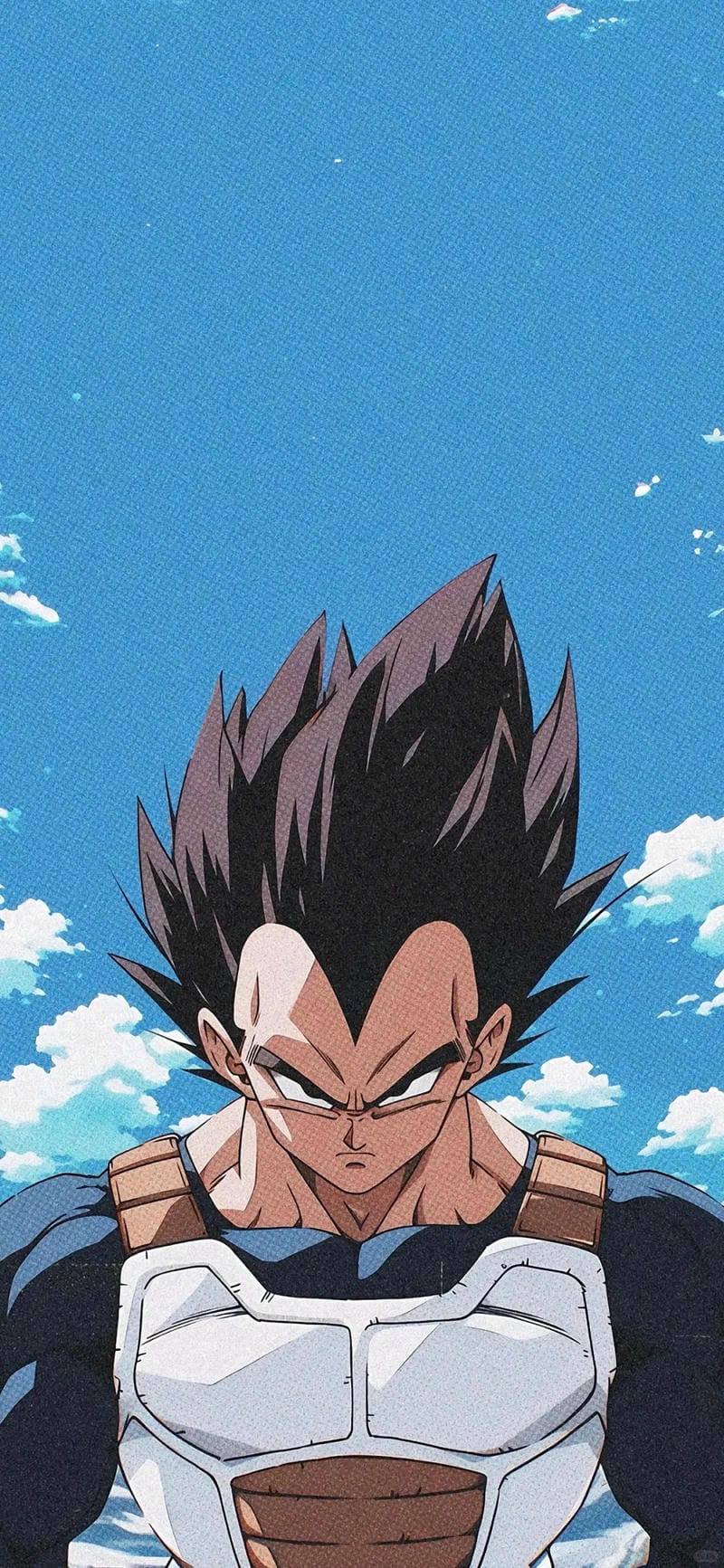 hinh-nen-vegeta (19)