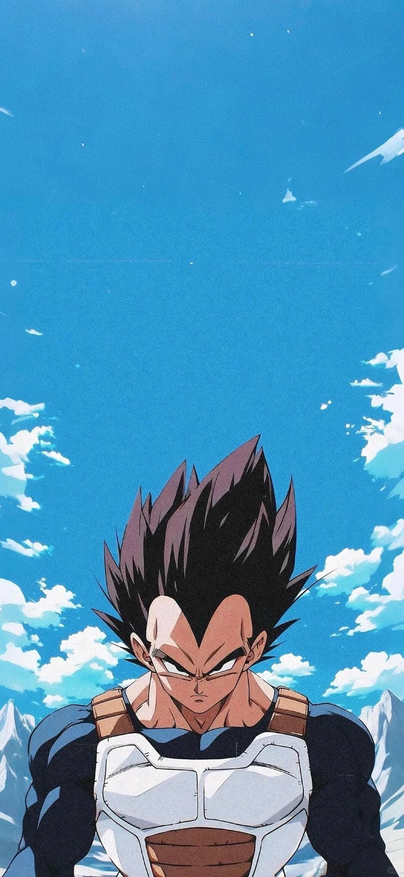 hinh-nen-vegeta (3)