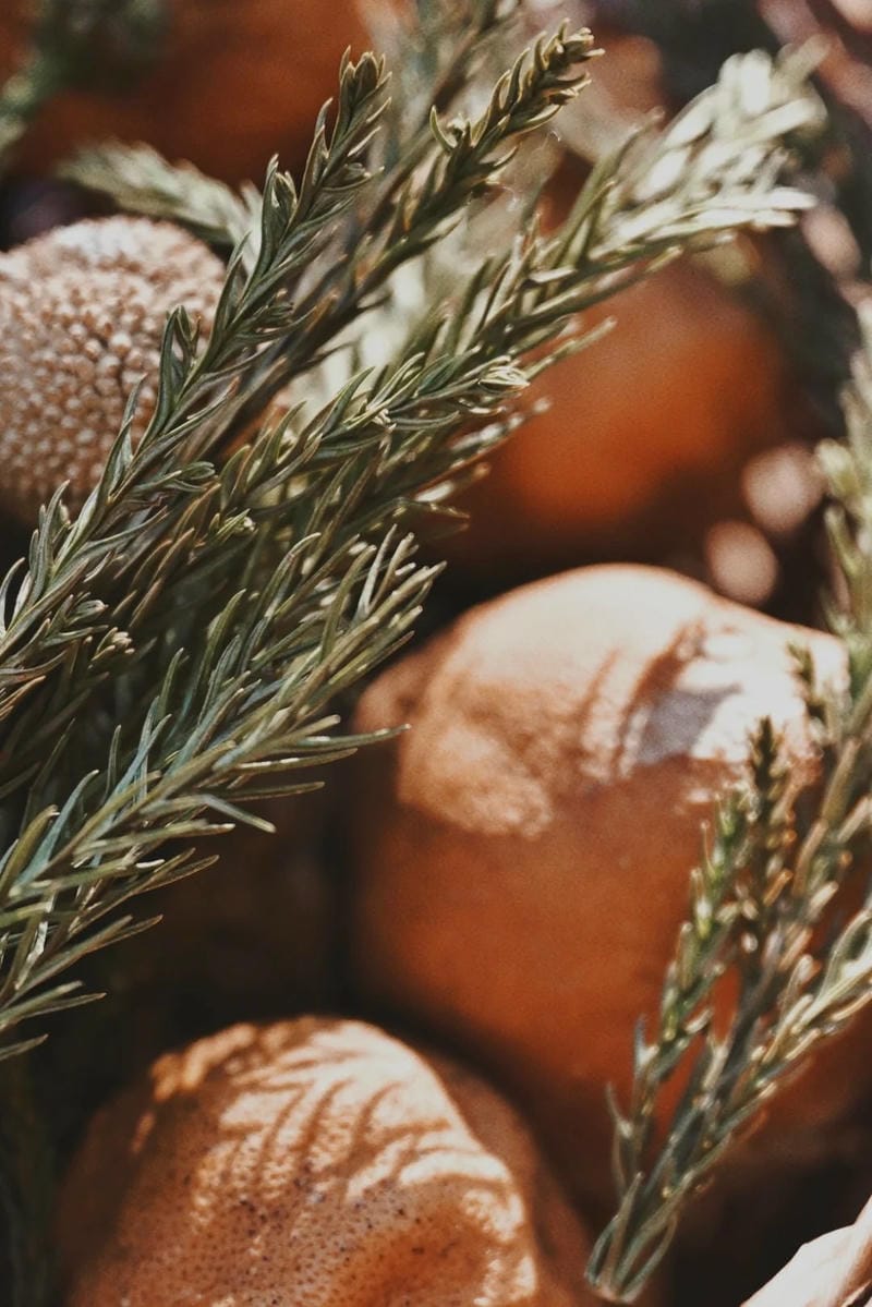 hinh-nen-vintage (33)