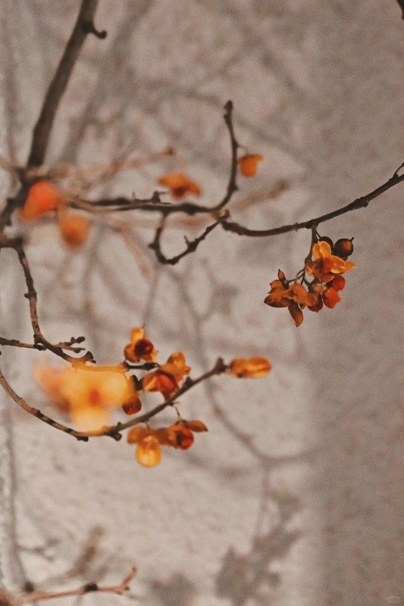 hinh-nen-vintage (35)