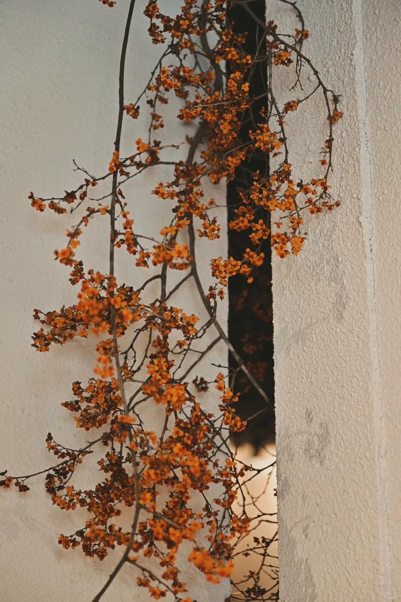 hinh-nen-vintage (36)