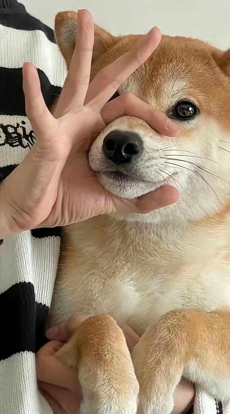 hinh-nen-vo-tri (33)