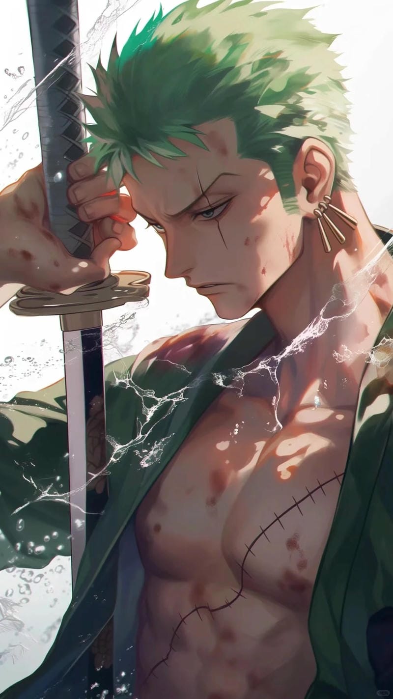 hinh-nen-zoro (39)