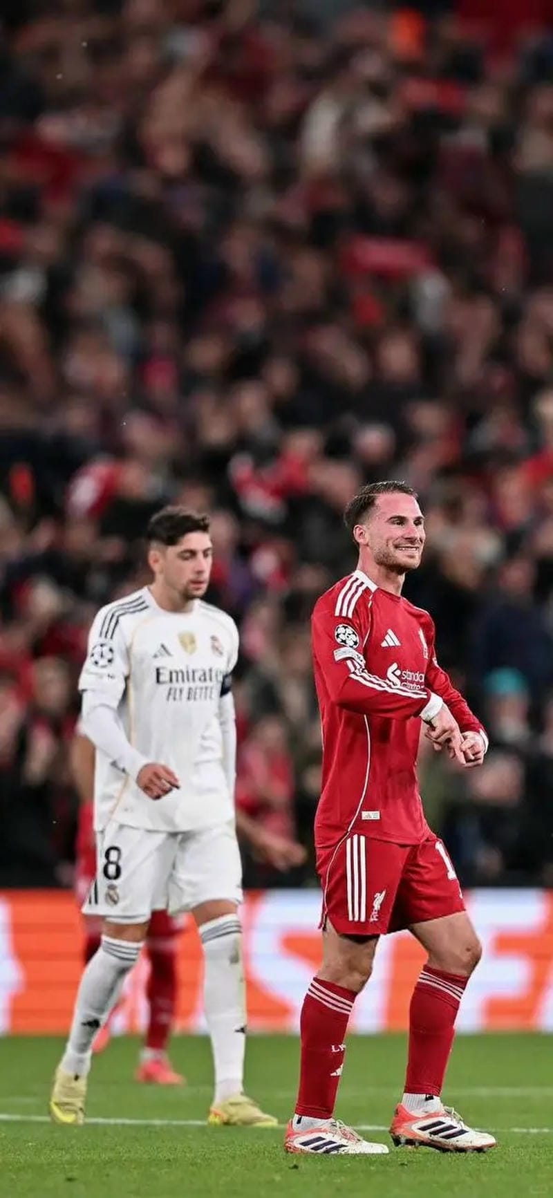 anh-alexis-mac-allister (27)