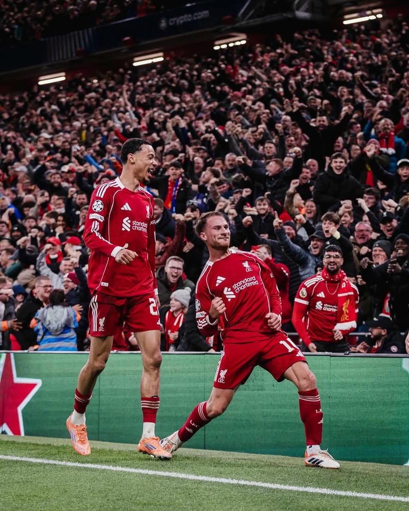 anh-alexis-mac-allister (3)