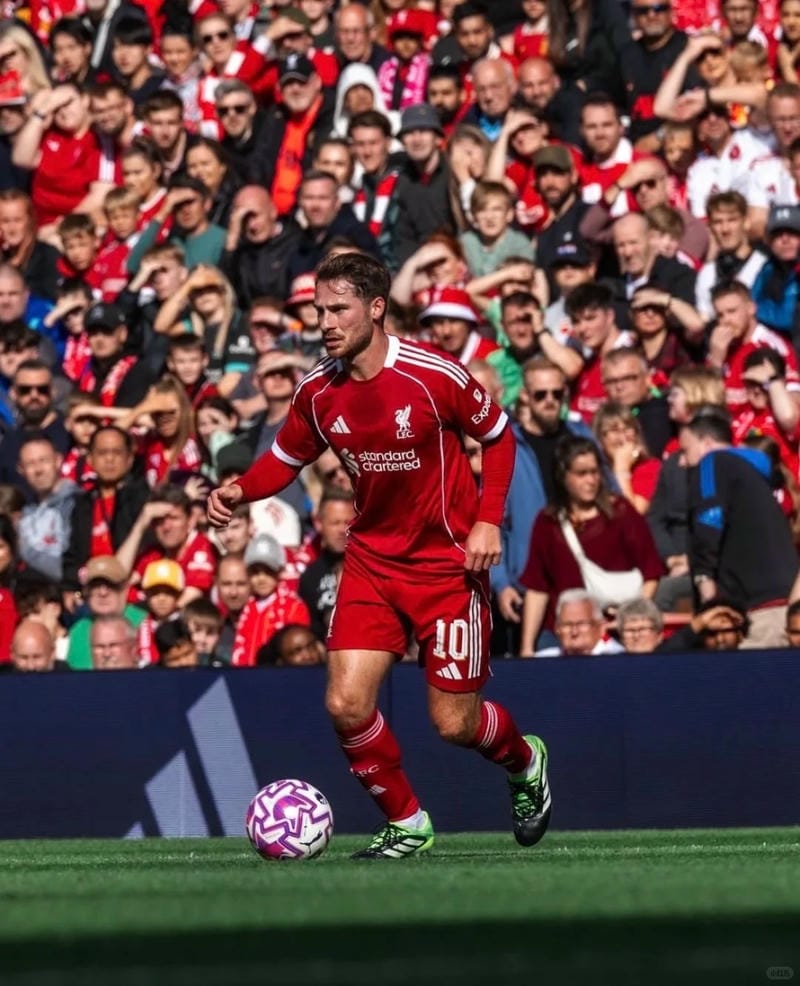 anh-alexis-mac-allister (32)