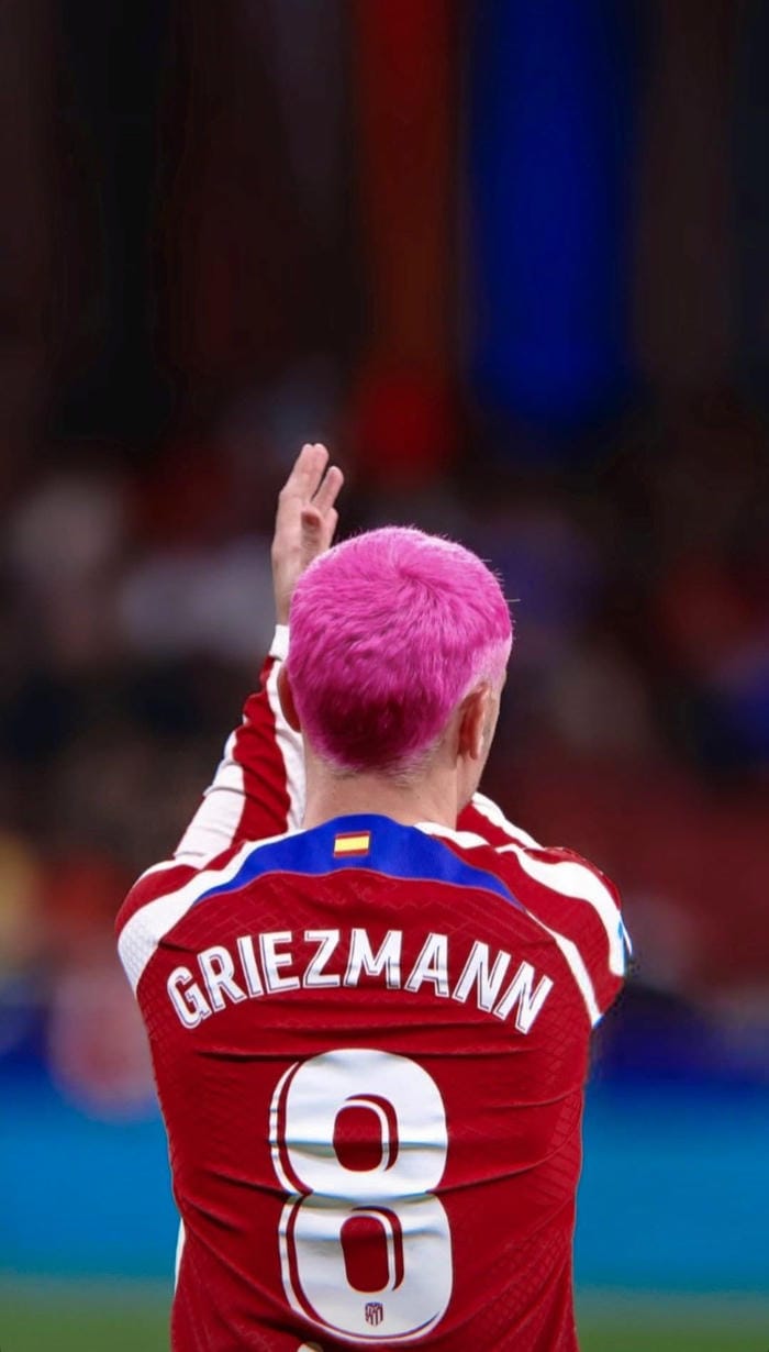 anh-antoine-griezmann (36)