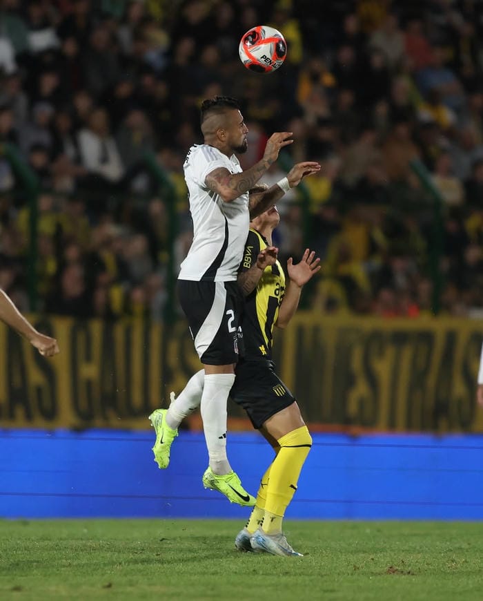 anh-arturo-vidal (20)