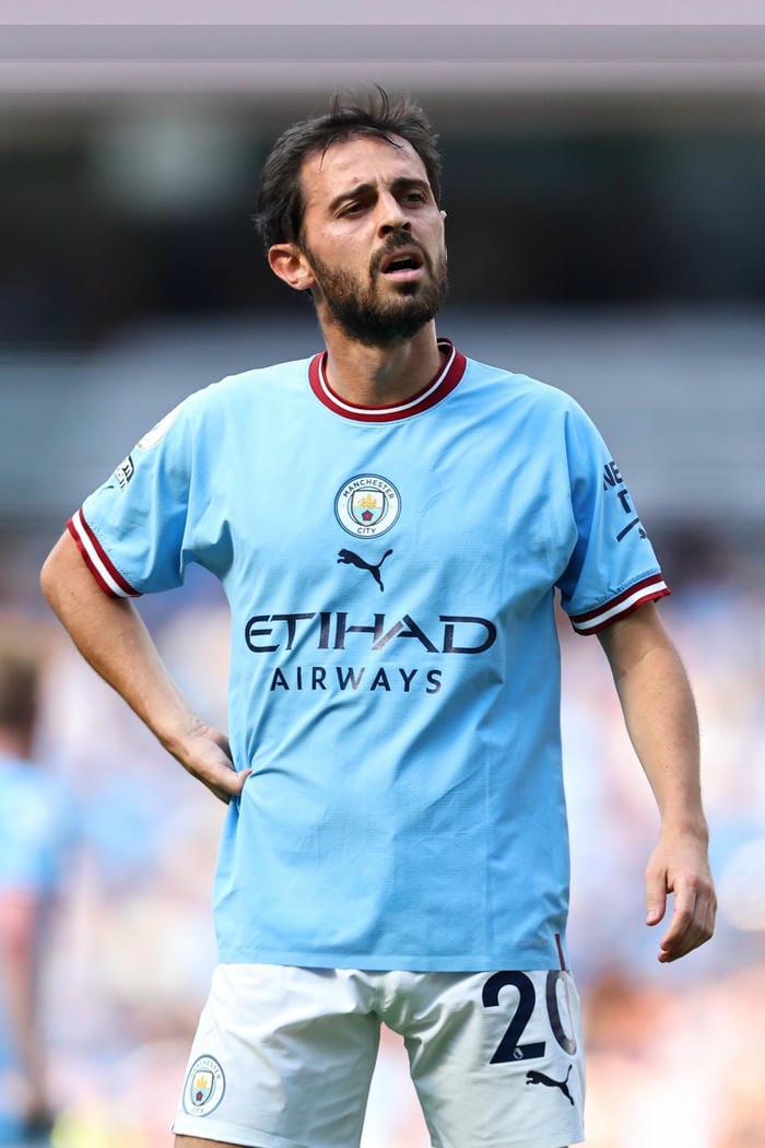 anh-bernardo-silva (1)