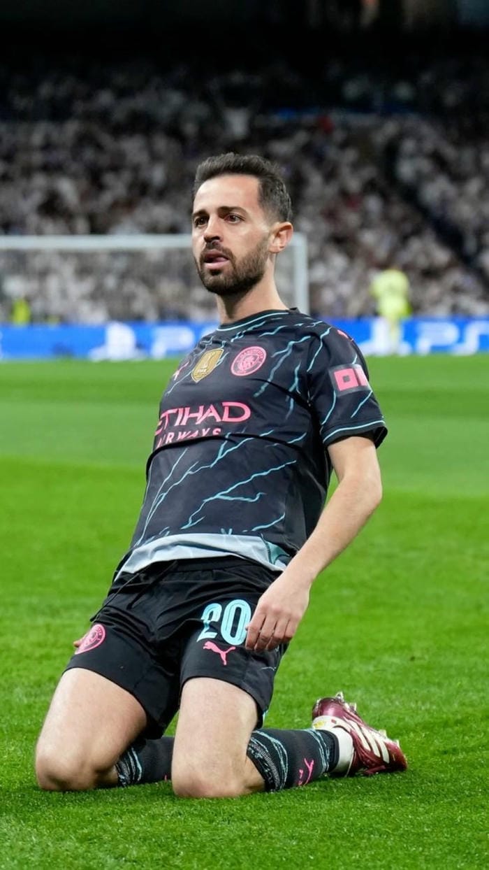 anh-bernardo-silva (15)