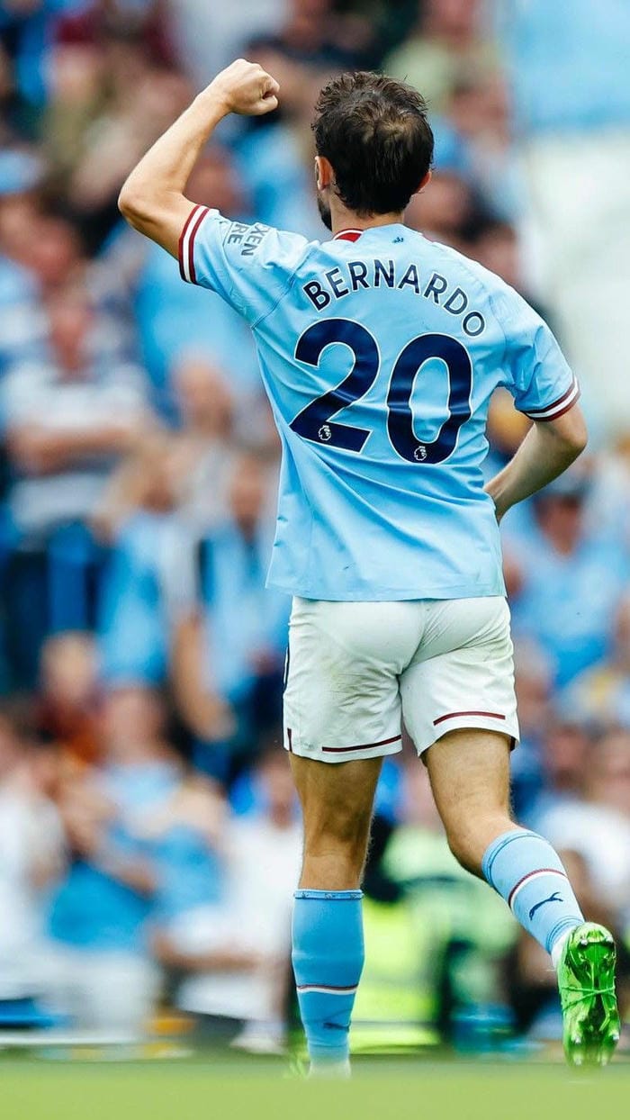 anh-bernardo-silva (24)