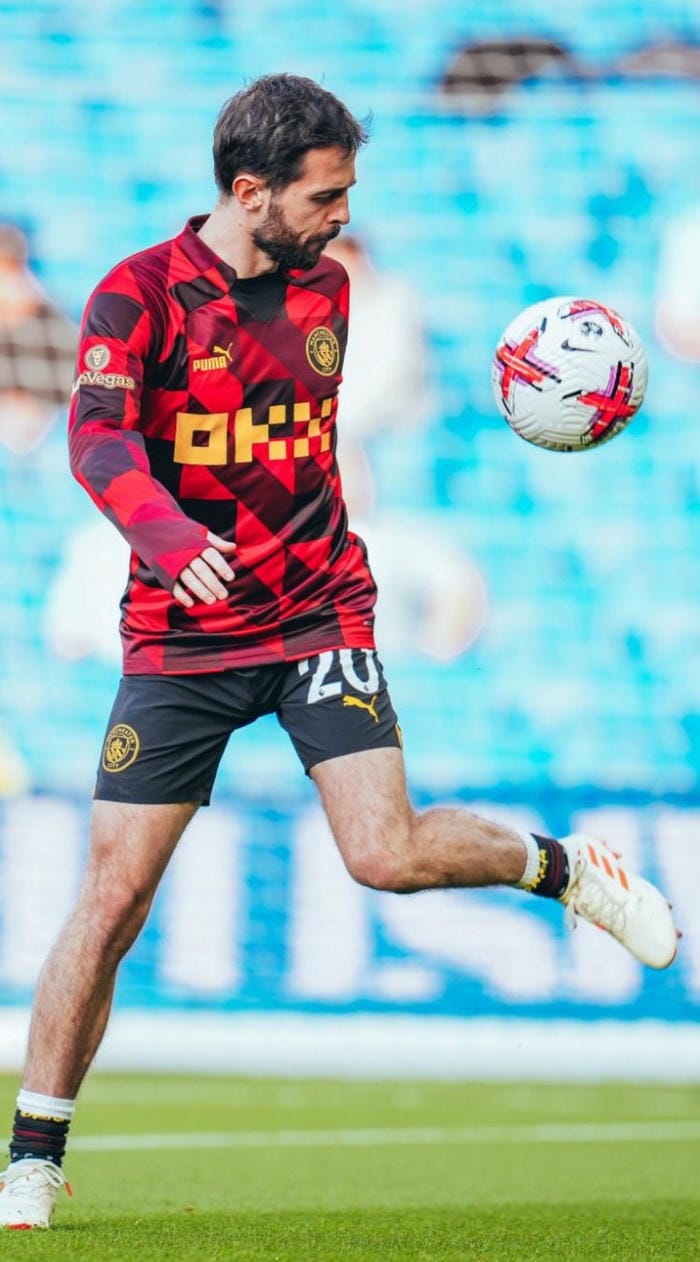 anh-bernardo-silva (28)