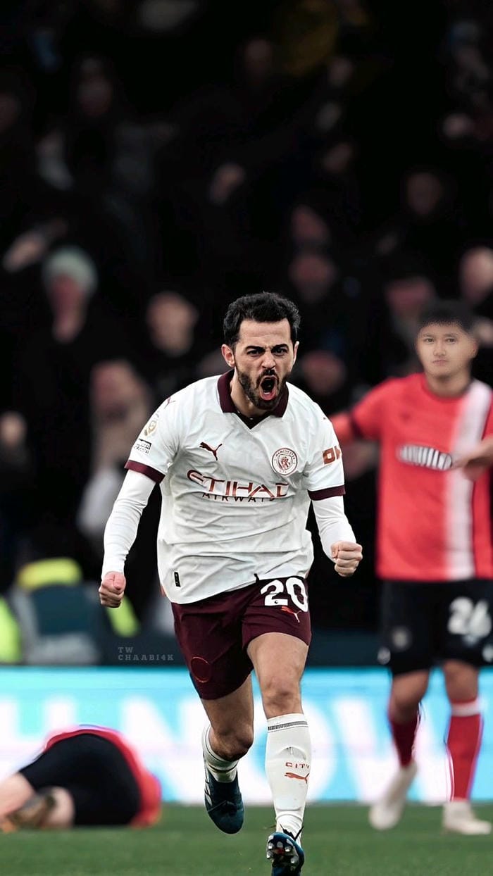 anh-bernardo-silva (31)