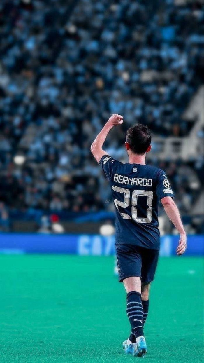 anh-bernardo-silva (7)