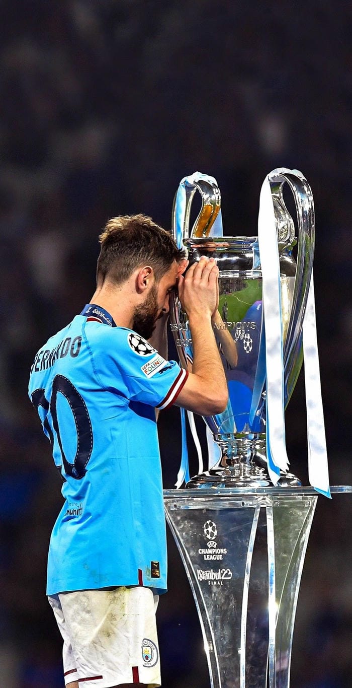 anh-bernardo-silva (9)