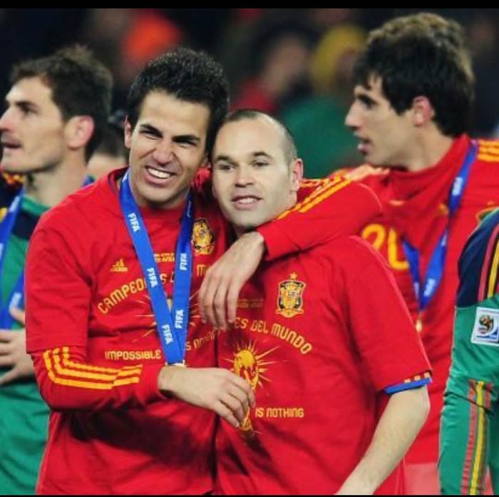anh-cesc-fabregas (10)
