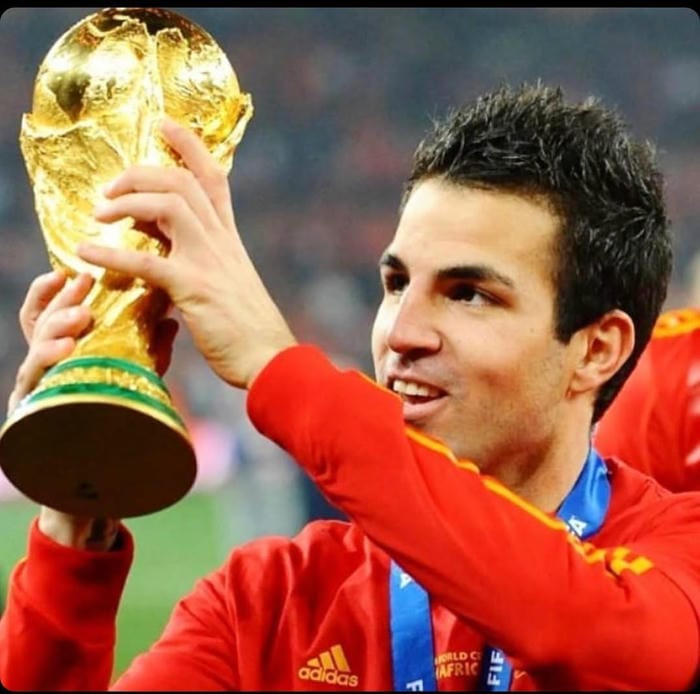 99+ Ảnh Cesc Fàbregas đẹp nhất: Những khoảnh khắc huyền thoại sân cỏ