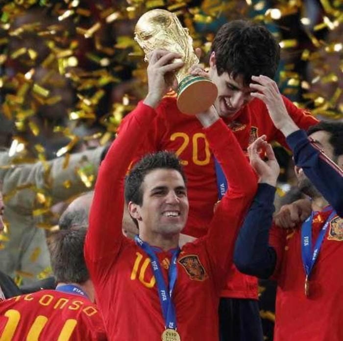 anh-cesc-fabregas (12)