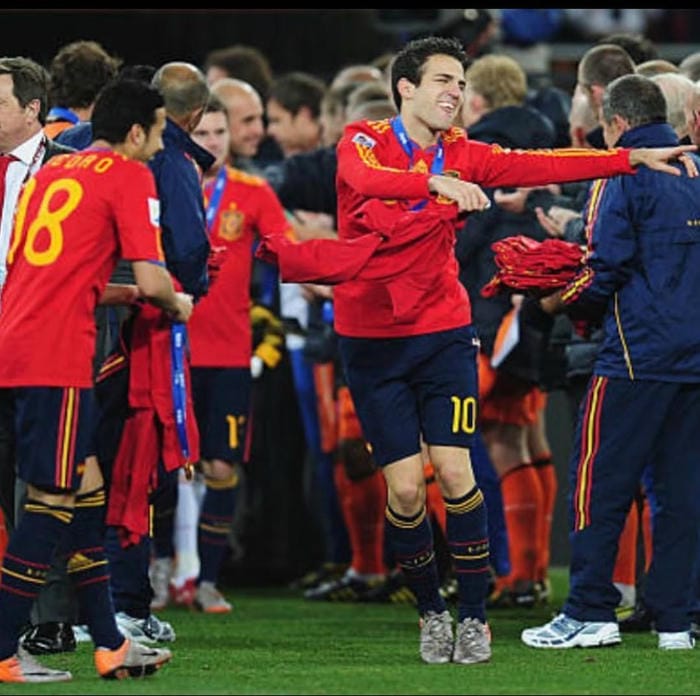 anh-cesc-fabregas (13)