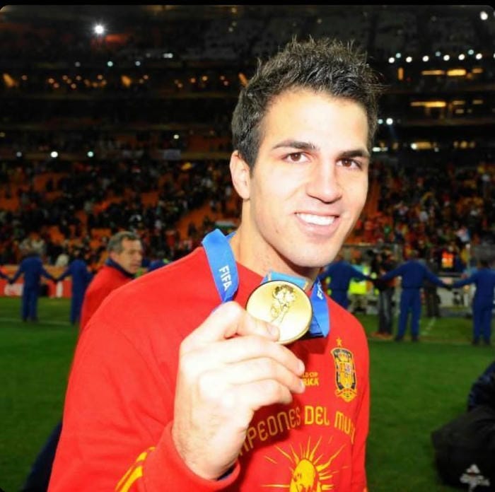 anh-cesc-fabregas (14)