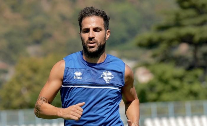 anh-cesc-fabregas (18)