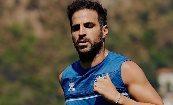 anh-cesc-fabregas (19)