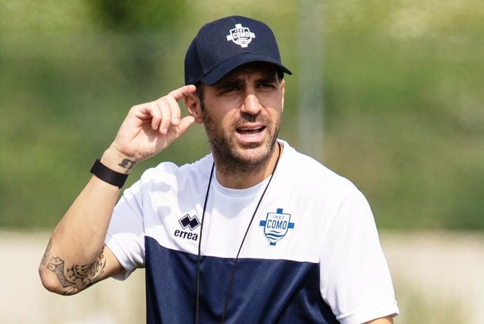 anh-cesc-fabregas (25)