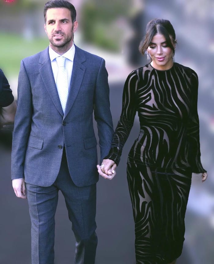 anh-cesc-fabregas (28)