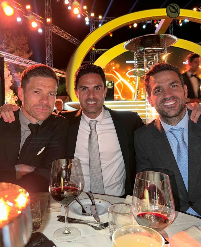 anh-cesc-fabregas (30)