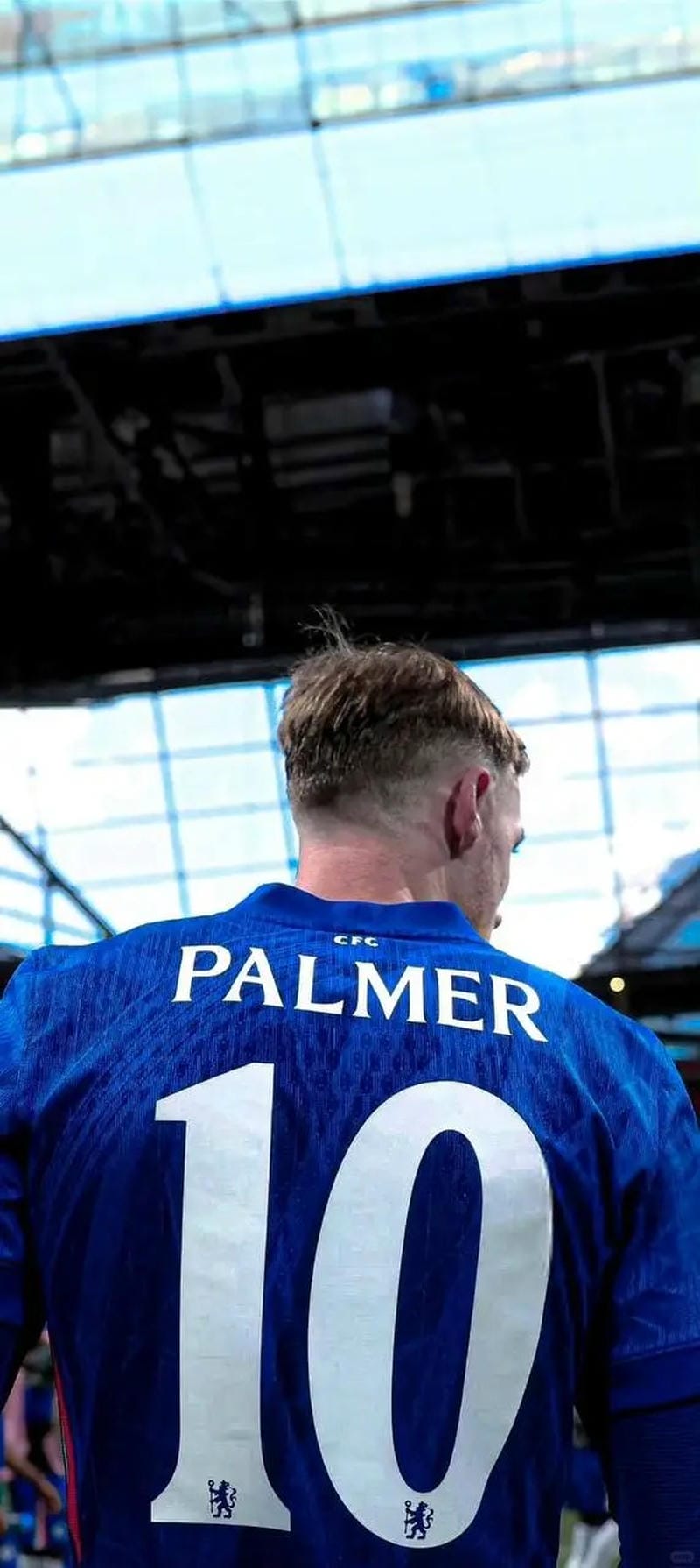 anh-cole-palmer (26)