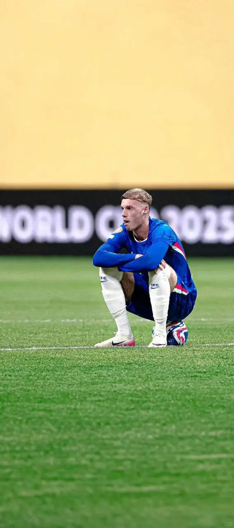 anh-cole-palmer (28)