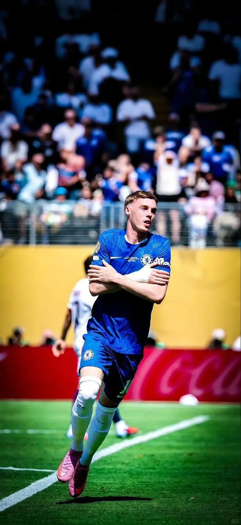 anh-cole-palmer (29)