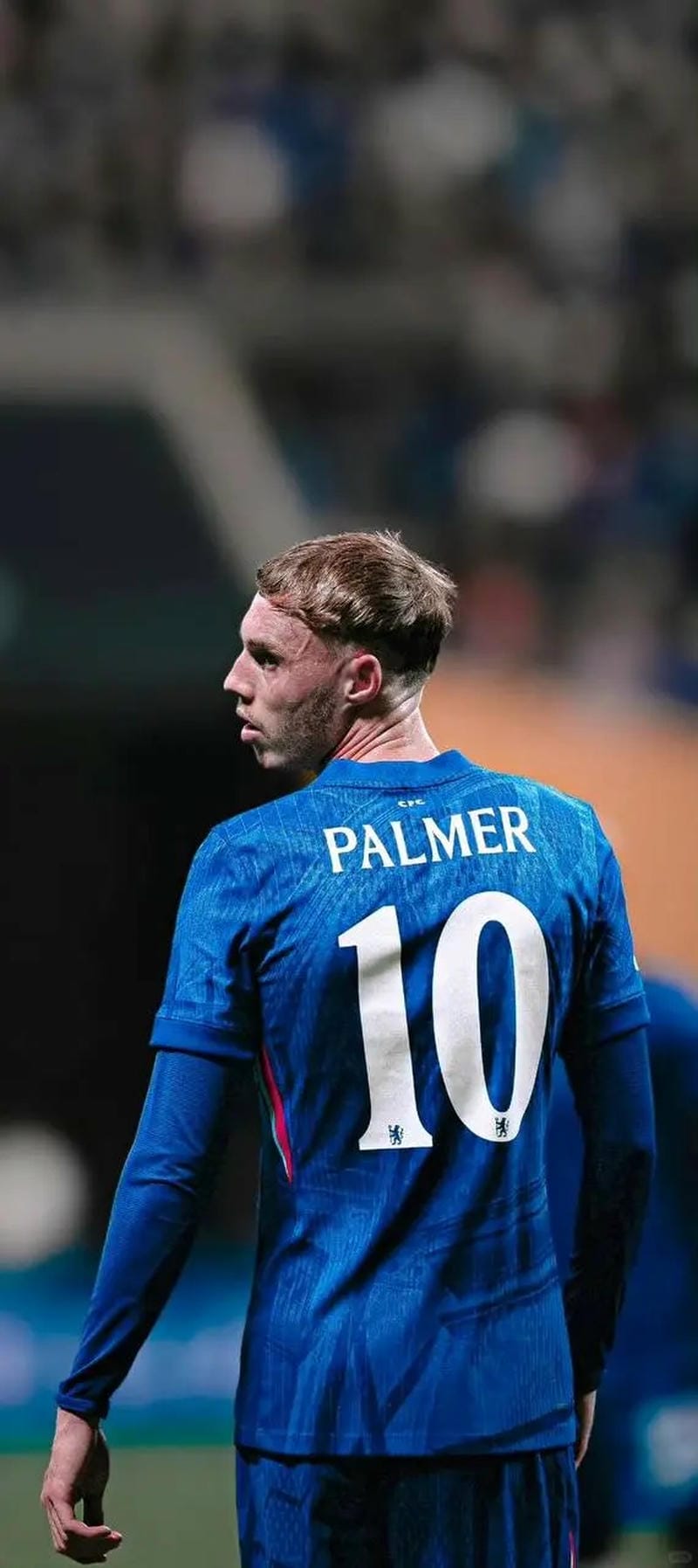 anh-cole-palmer (30)