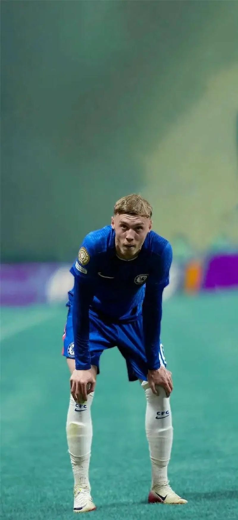 anh-cole-palmer (31)