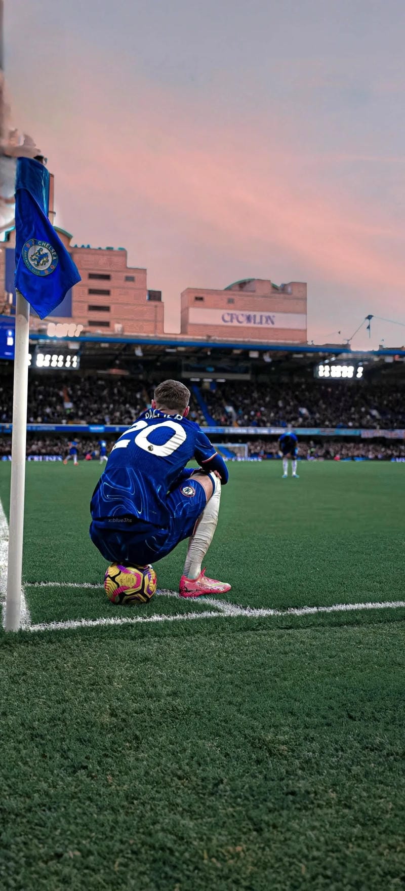 anh-cole-palmer (36)