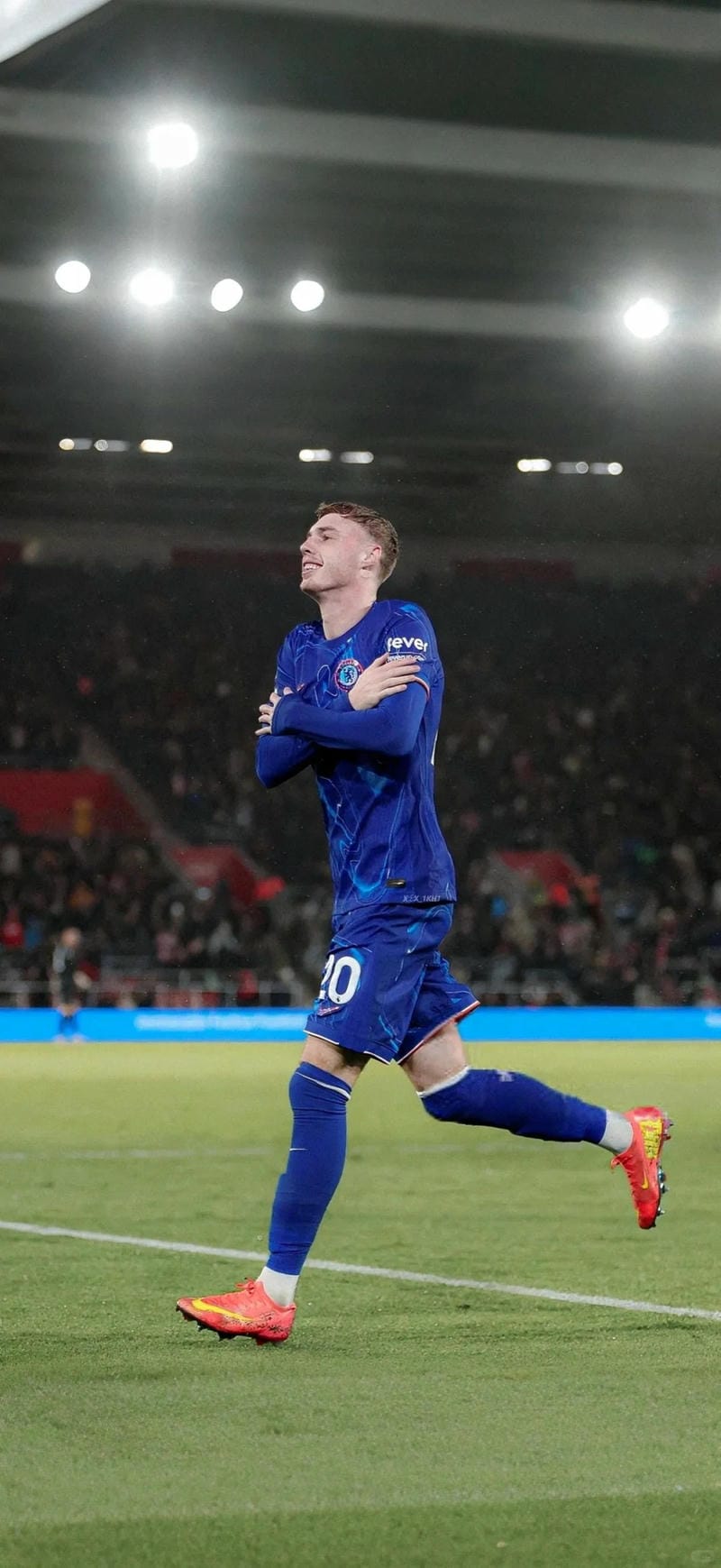 anh-cole-palmer (37)