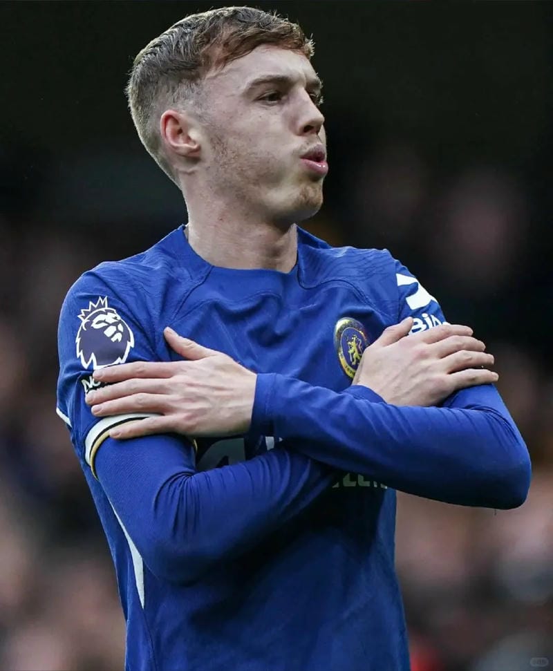 anh-cole-palmer (38)