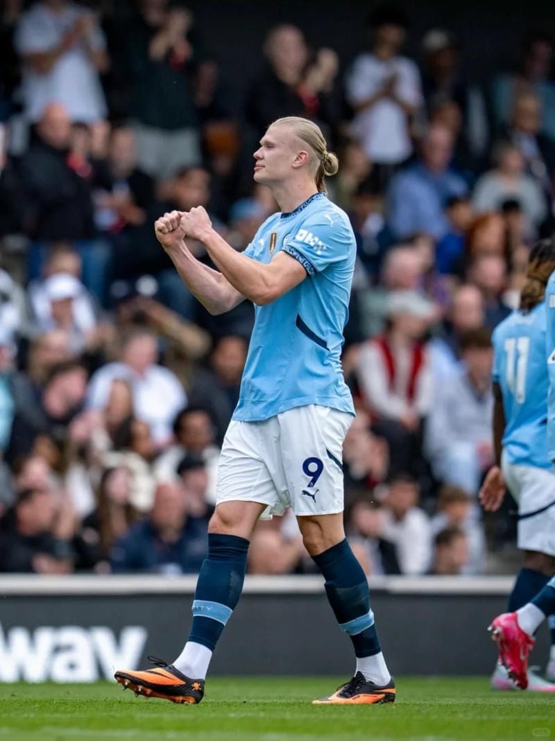 anh-erling-haaland (6)