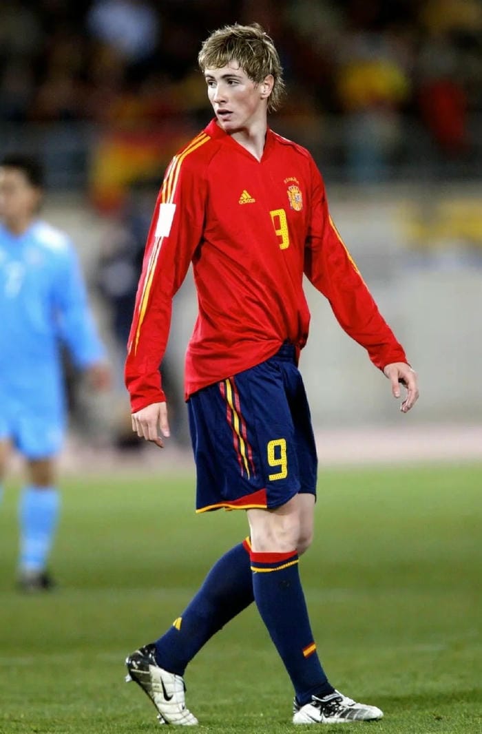 anh-fernando-torres (1)