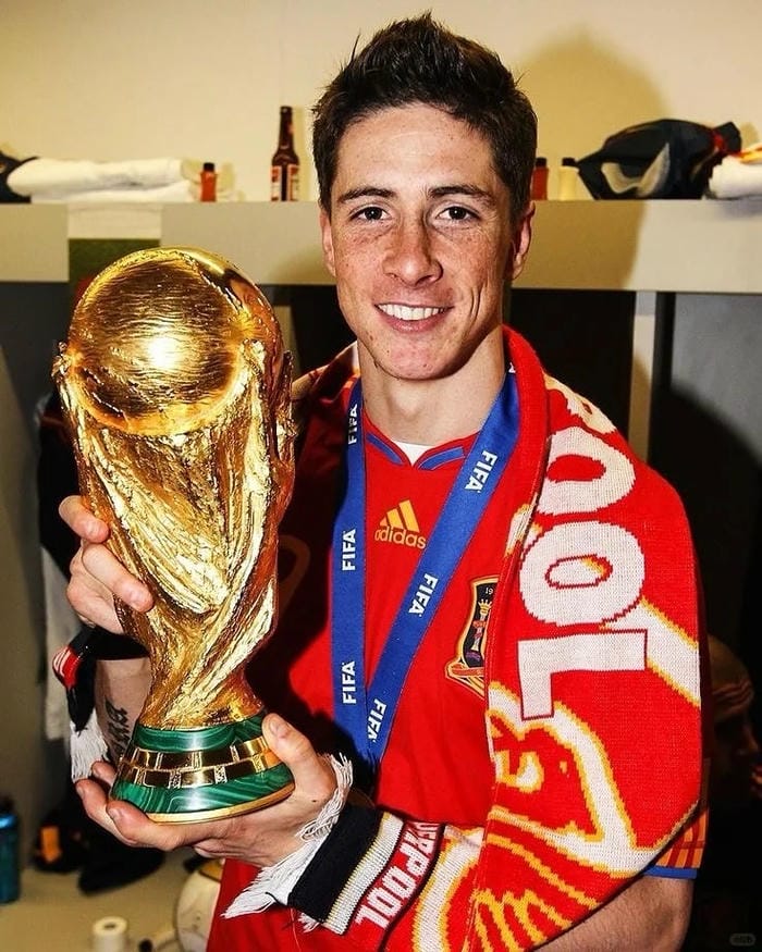 anh-fernando-torres (11)