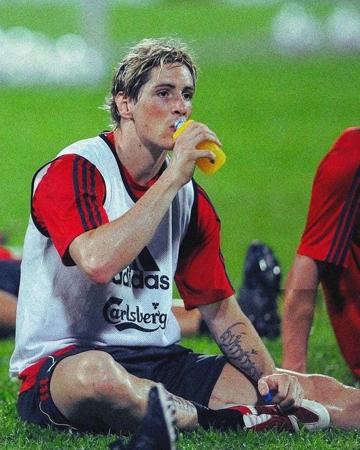 anh-fernando-torres (12)